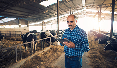 Traceability Feature